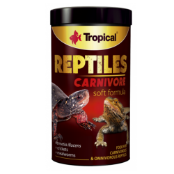 Tropical Reptiles Carnivore  | Reptielenvoer 