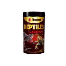 Tropical Reptiles Carnivore  | Reptielenvoer 