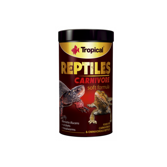 Tropical Reptiles Carnivore  | Reptielenvoer