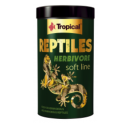 Tropical Reptiles Herbivore | Reptielenvoer 