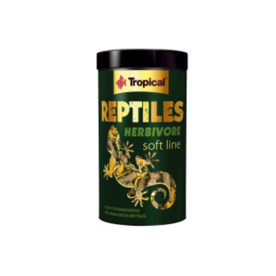 Tropical Reptiles Herbivore| Reptielenvoer