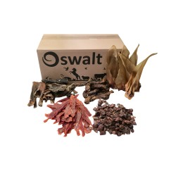 Honden Verwen Box 