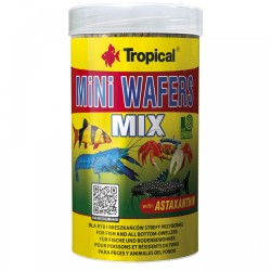 Tropical Mini Wafels Mix (138g | 250ml) 