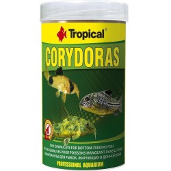 Tropical Corydoras 