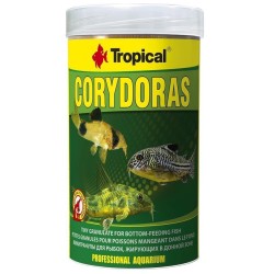 Tropical Corydoras 