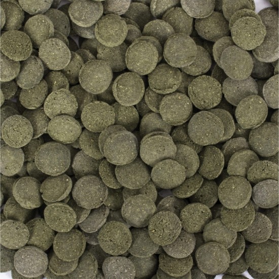 Tropical Hi-Algae Discs (250ml)