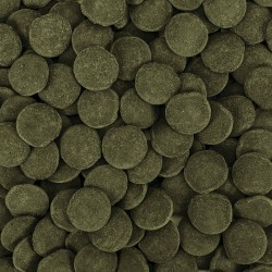 Tropical Hi-Algae Discs XXL 