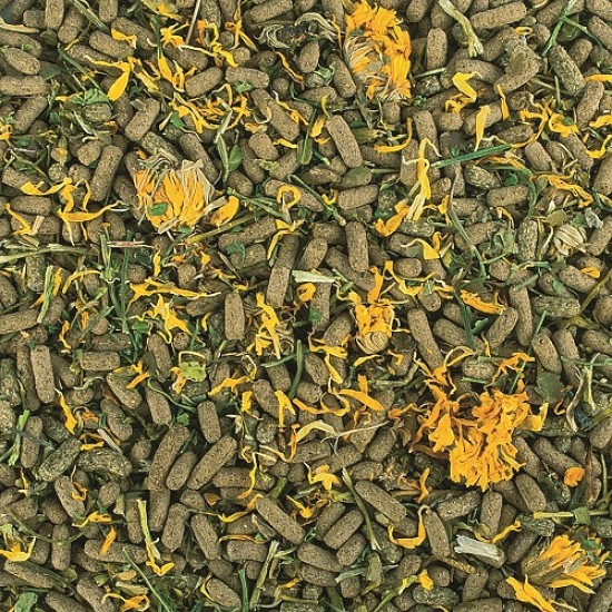 Tropical Reptiles Herbivore| Reptielenvoer