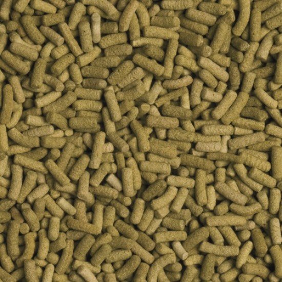 Tropical Biorept L.  | Schildpadsticks