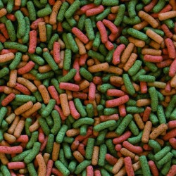 Tropical Biorept W. | Schildpadsticks 