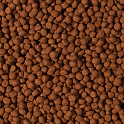 Tropical Cichlide Pellet Omnivoor Medium (1 Liter)