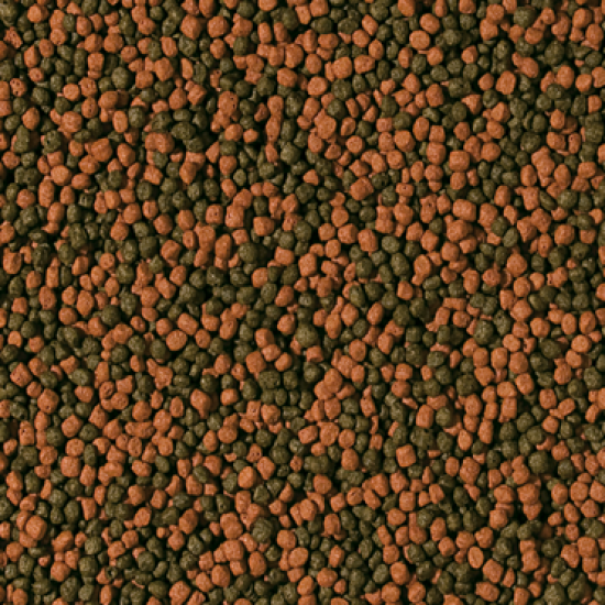 Tropical Cichlide Pellet Carnivoor Small (1 Liter) Tropical Cichlide Pellet Carnivoor Small (1 Liter)