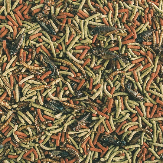 Tropical Reptiles Carnivore  | Reptielenvoer