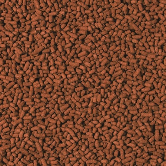 Tropical Shrimp Sticks (100ml)