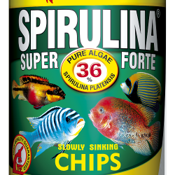 Tropical Super Spirulina Chips 36% (1 Liter)