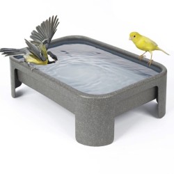 Waterschaal Johan Waterschaal Johan