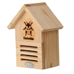 Lieveheersbeestkastje Lieveheersbeestkastje