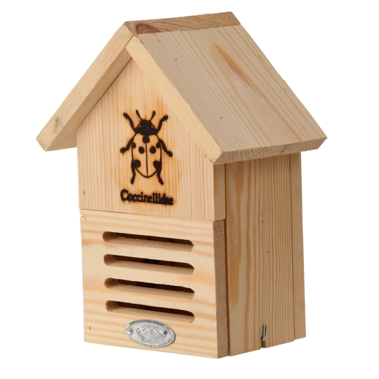 Lieveheersbeestkastje Lieveheersbeestkastje