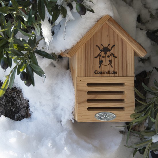 Lieveheersbeestkastje Lieveheersbeestkastje