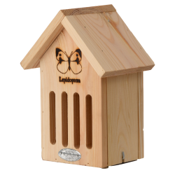 Vlinderkast Vlinderkast