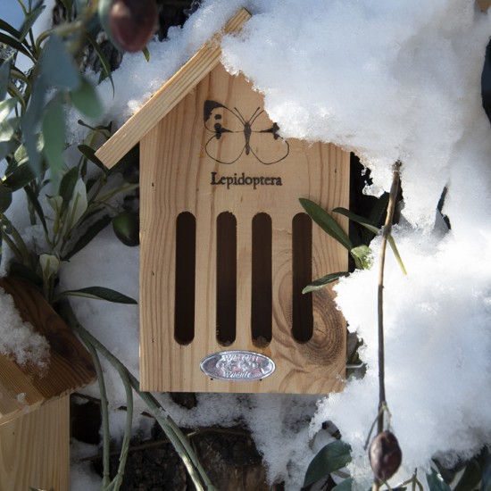 Vlinderkast Vlinderkast