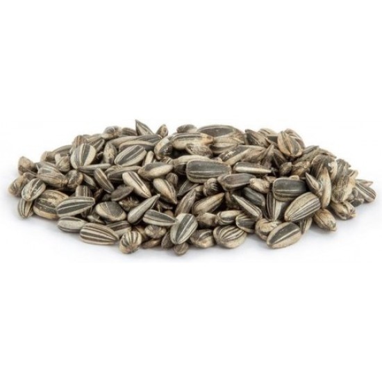 Gestreepte zonnebloempitten Gestreepte zonnebloempitten