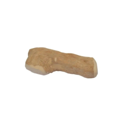 Koffieboom Kauwwortel 