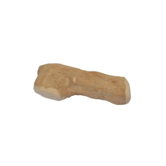 Koffieboom Kauwwortel