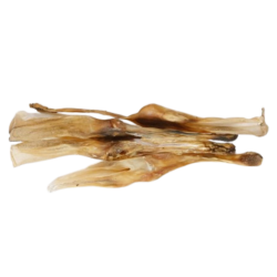 Konijnenoren zonder haar 