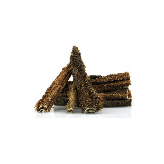 Pens - Pensstaafjes Pens - Pensstaafjes